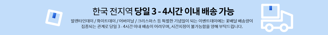 한국 전지역 당일 3-4시간 이내 배송 가능